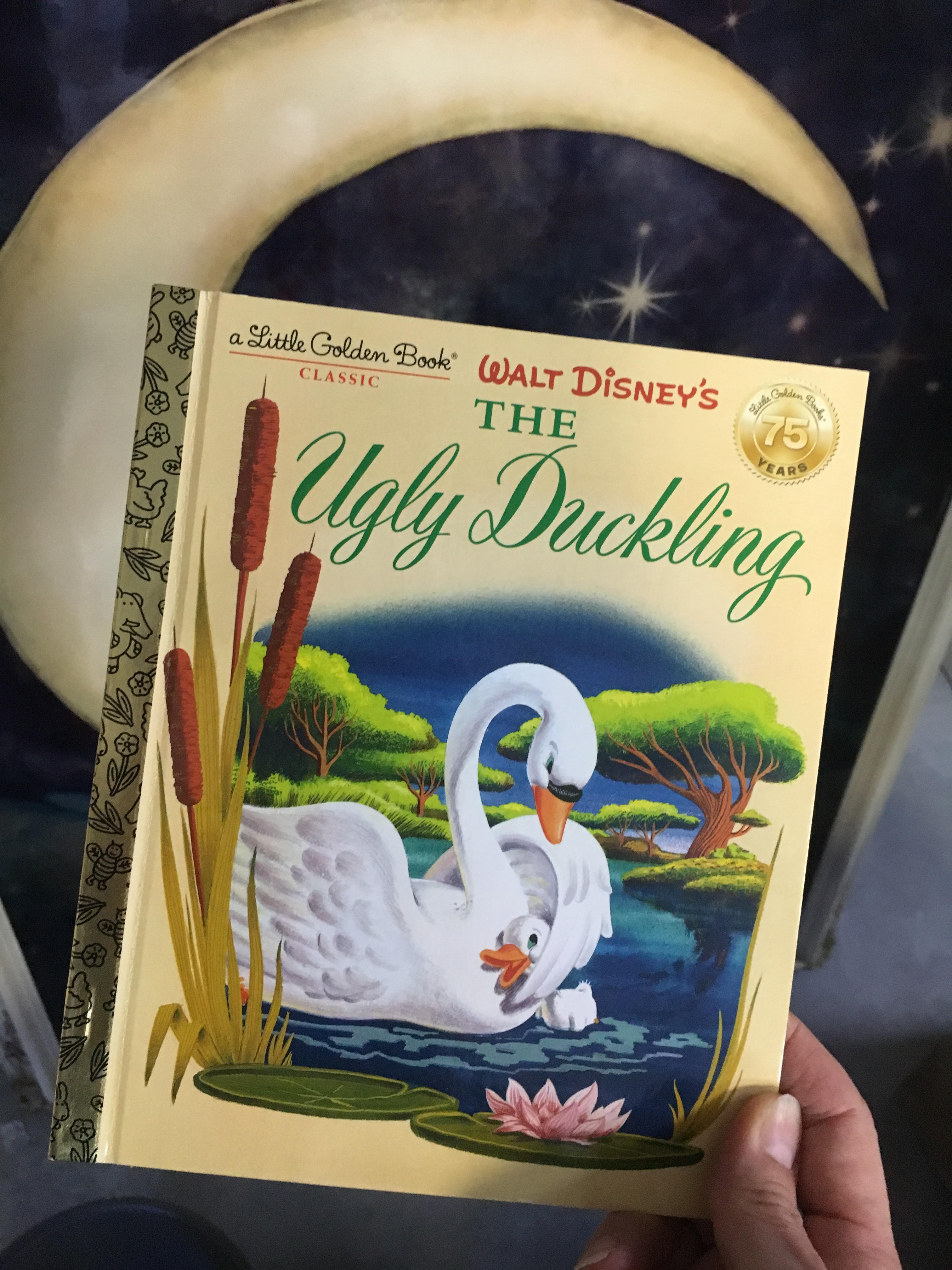 The Ugly Duckling Becomes A Swan